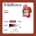 PBWF.5-Perma-Blend-Wildflower-Lips_2048x