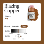 PBSBC.5-Perma-Blend-BlazingCopper-Brows_2048x