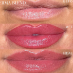 perma-blend-french-fancy-lips-2048x-1