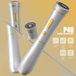 mast-p40-2